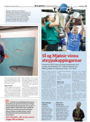 Síða 19