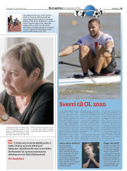 Síða 29