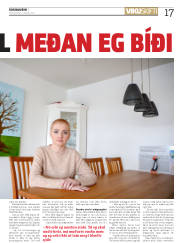 Síða 17