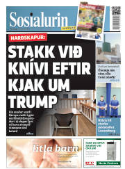 Síða 1
