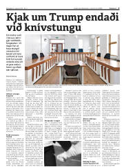 Síða 3