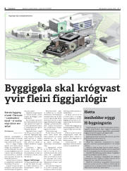 Síða 8