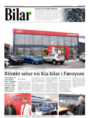 Síða 11
