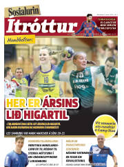 Síða 24
