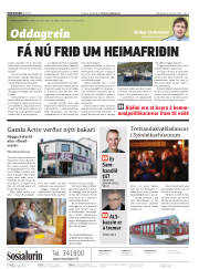 Síða 2