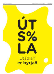 Síða 3