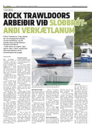 Síða 8