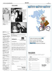 Síða 29