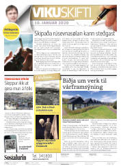 Síða 2