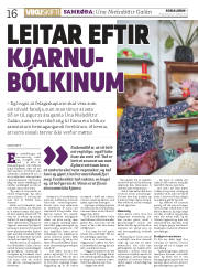 Síða 16