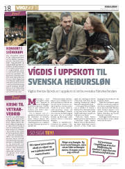 Síða 18
