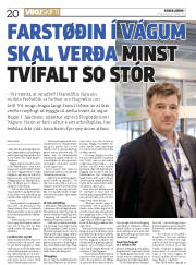 Síða 20