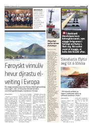 Síða 9