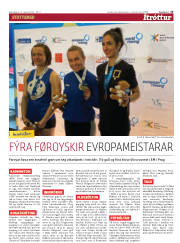 Síða 15