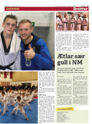 Síða 17