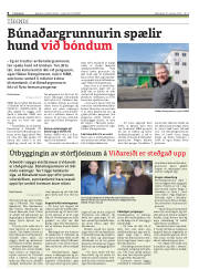 Síða 8