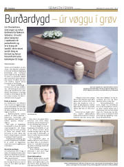 Síða 12