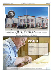 Síða 15