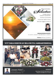 Síða 17