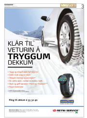 Síða 3