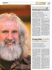 Síða 17