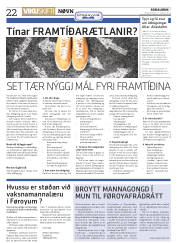Síða 22