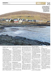 Síða 25