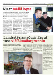 Síða 3