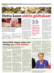 Síða 6