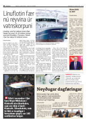 Síða 10