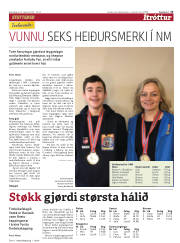 Síða 13