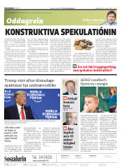 Síða 2