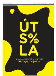 Síða 3