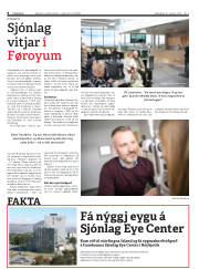 Síða 8