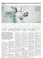 Síða 14