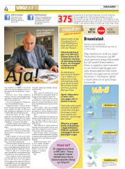 Síða 4