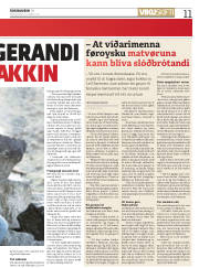 Síða 11