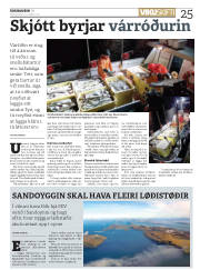 Síða 25