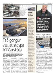 Síða 3