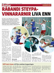 Síða 20