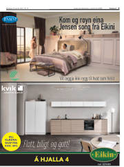 Síða 3