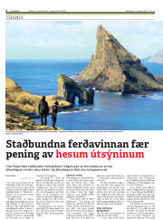Síða 6