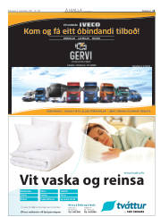 Síða 11