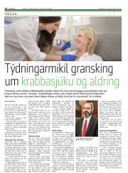 Síða 18