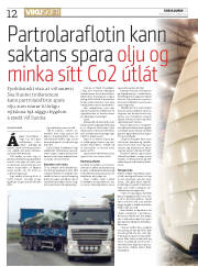 Síða 12