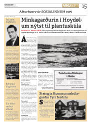 Síða 15