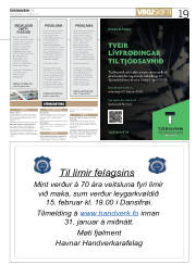 Síða 19