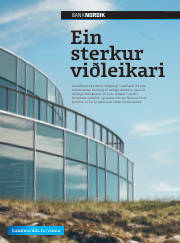 Síða 27