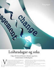 Síða 29