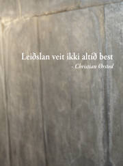 Síða 30